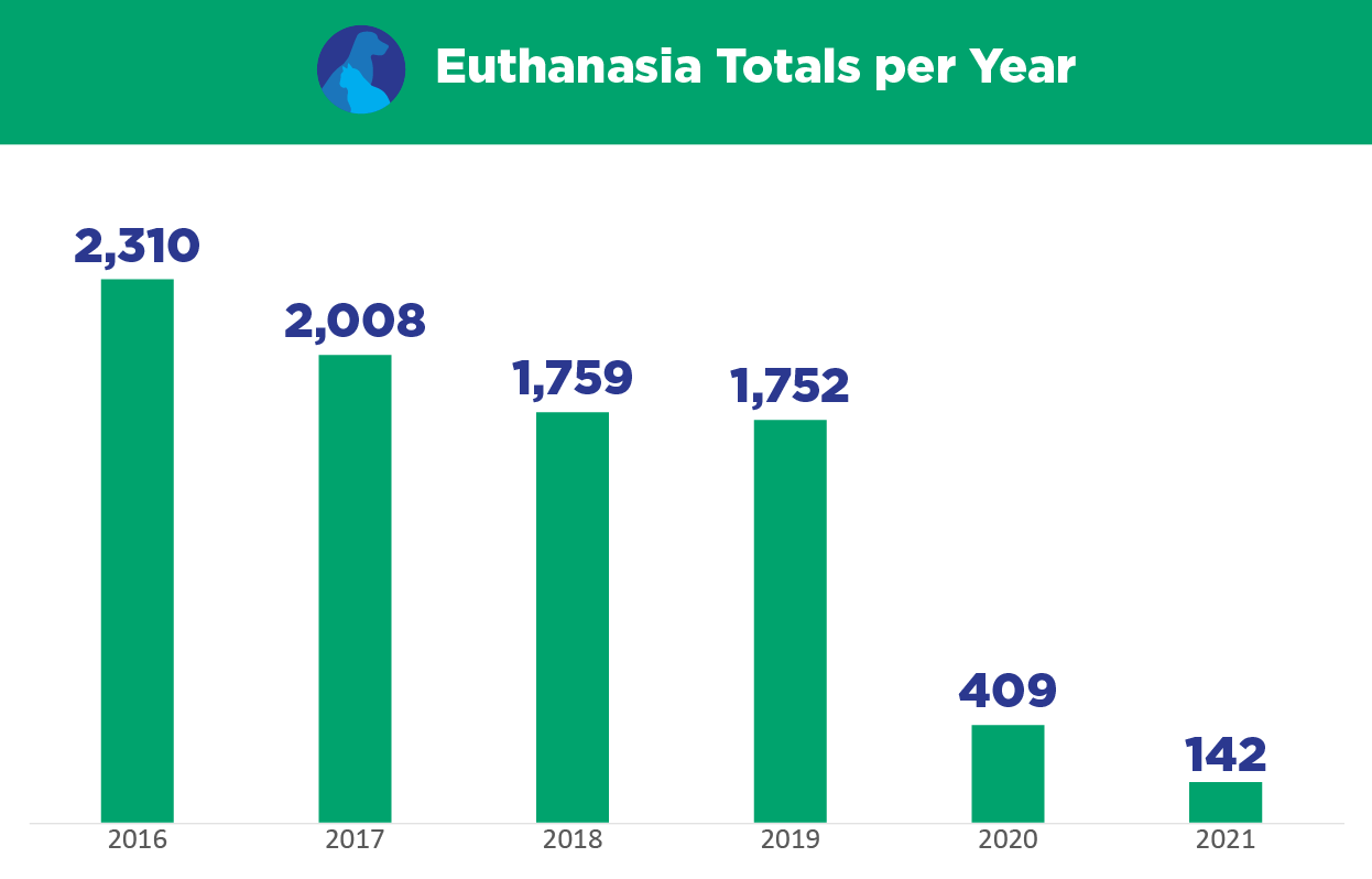 Euthanasia Totals per Year